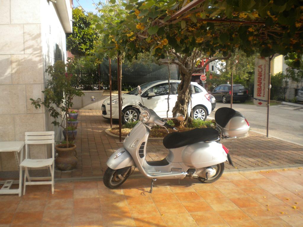 Novigrad Istria Apartments Miani מראה חיצוני תמונה