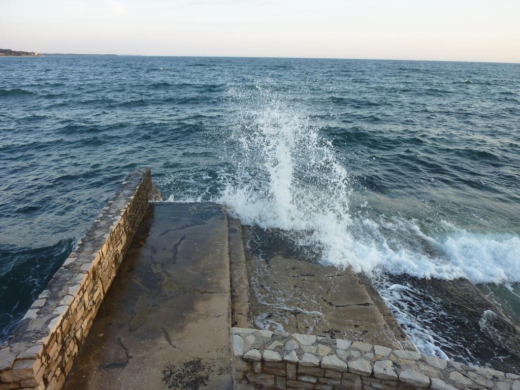 Novigrad Istria Apartments Miani מראה חיצוני תמונה